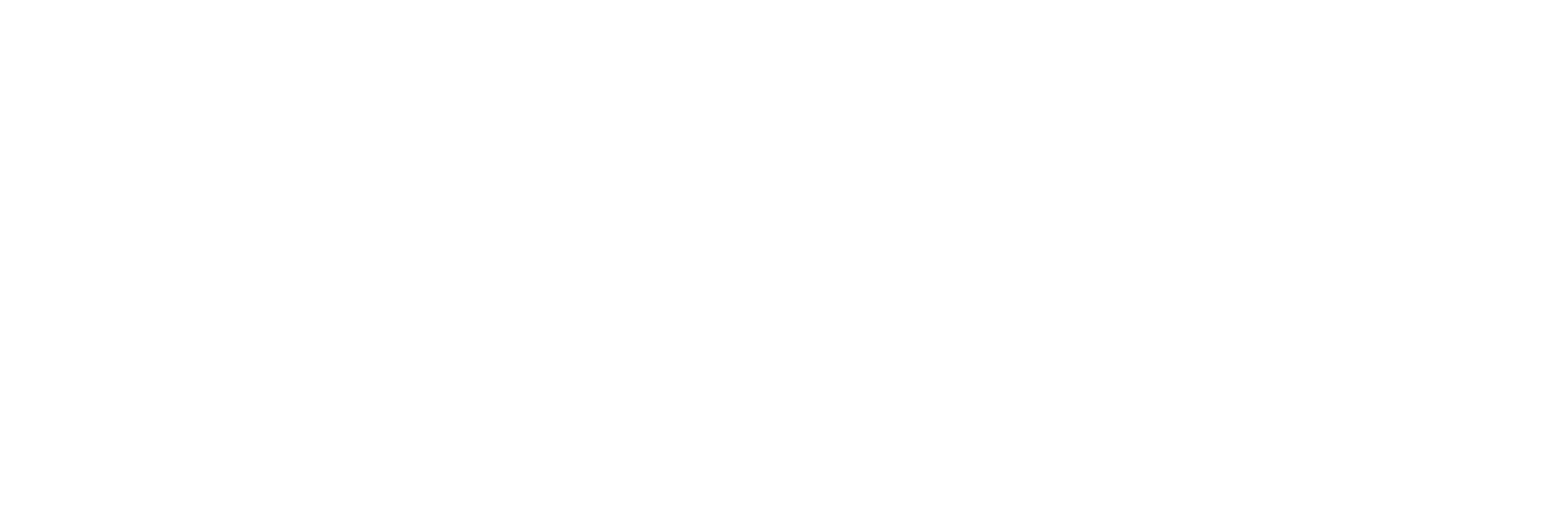 Vida Loca